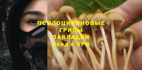 шишки Алексеевка