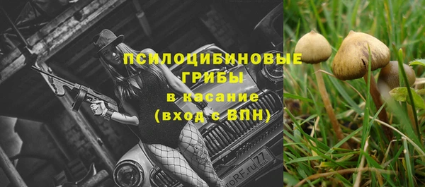 ешки Алексин