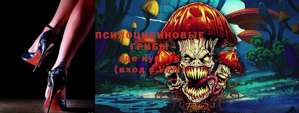 шишки Алексеевка