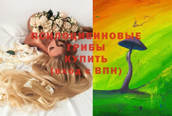 ешки Алексин