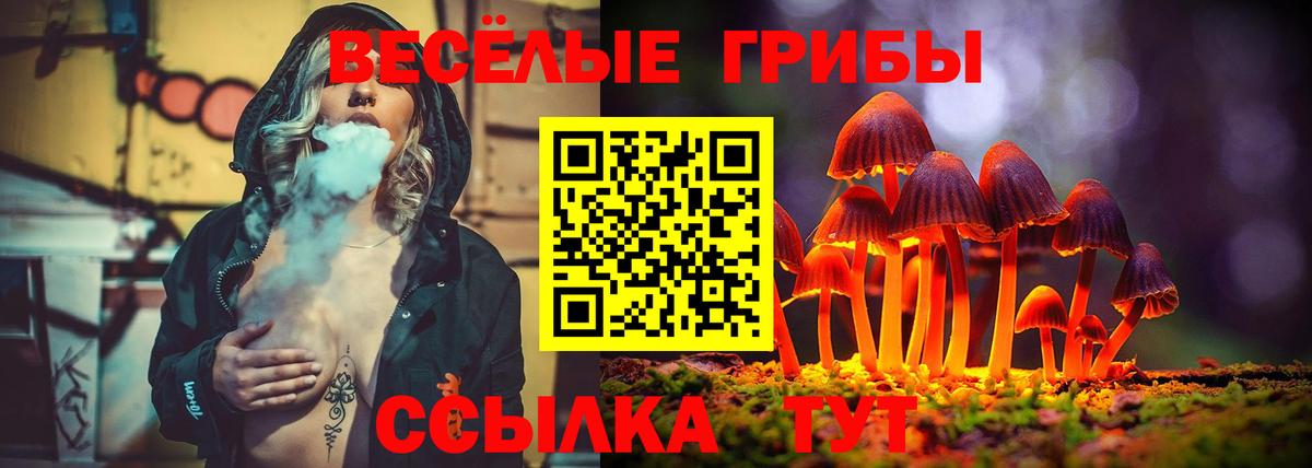 Галлюциногенные грибы ЛСД  Вход с VPN  Тольятти  Галлюциногенные грибы Psilocybine cubensis 